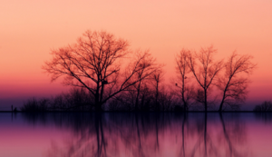 火箭队布鲁诺连场出战勤训练