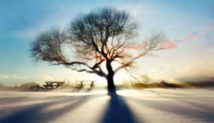 火箭队布鲁诺连场出战勤训练