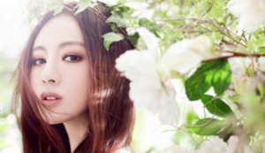 火箭队布鲁诺连场出战勤训练