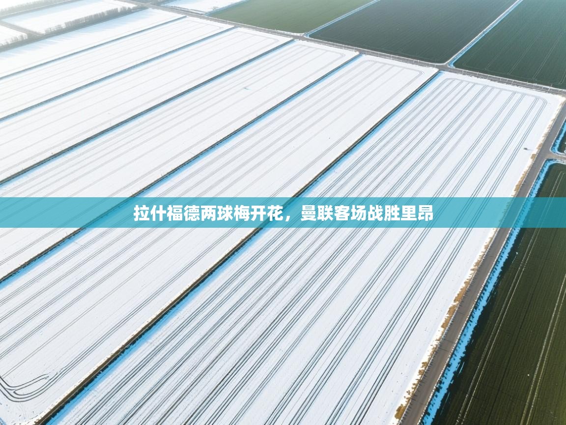 拉什福德两球梅开花，曼联客场战胜里昂  第1张