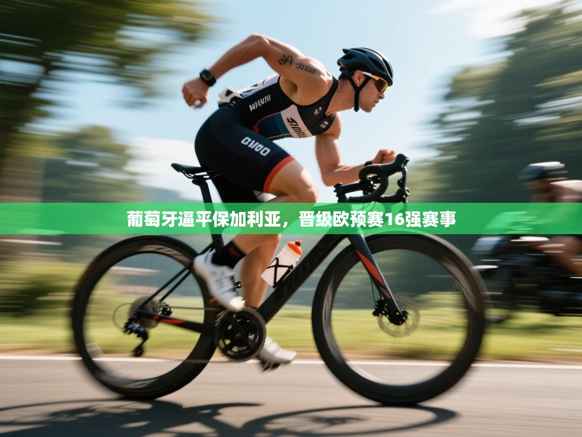 葡萄牙逼平保加利亚,晋级欧预赛16强赛事 第2张