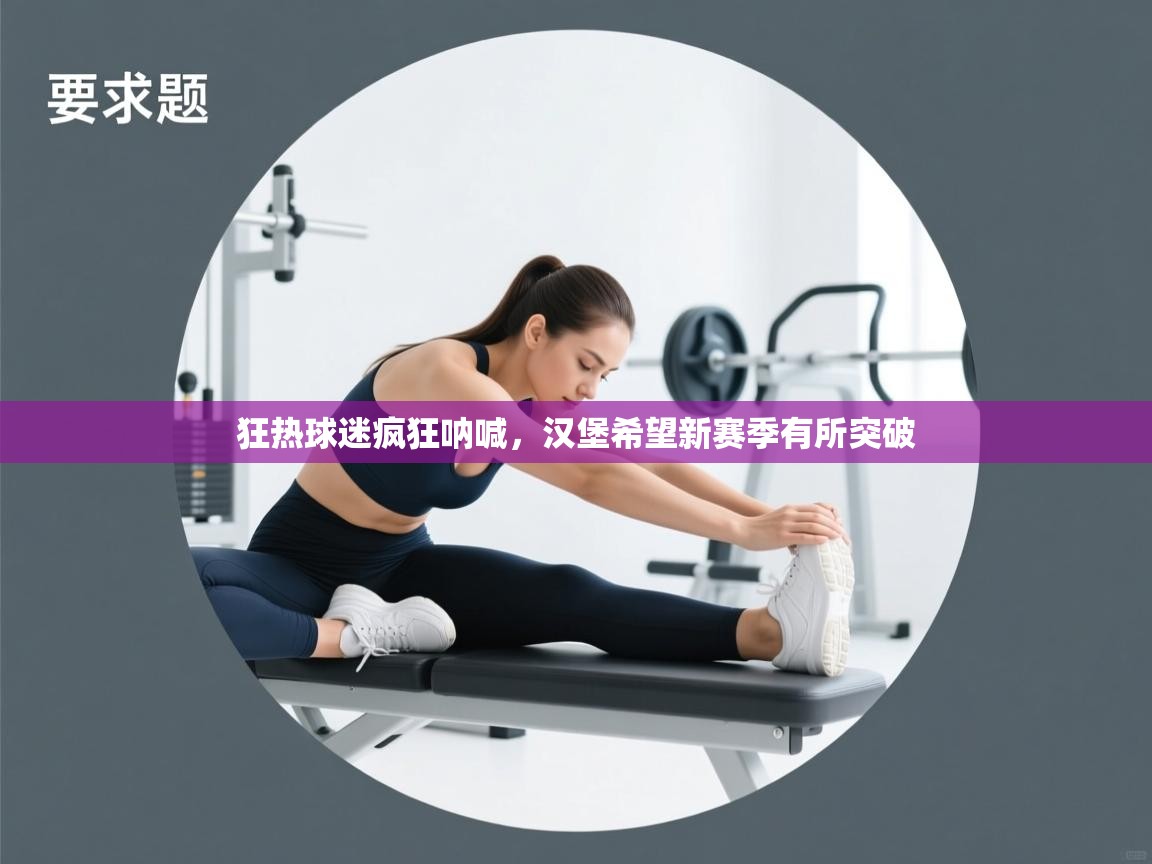 狂热球迷疯狂呐喊，汉堡希望新赛季有所突破  第1张