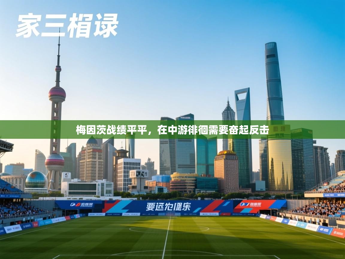 梅因茨战绩平平，在中游徘徊需要奋起反击  第2张