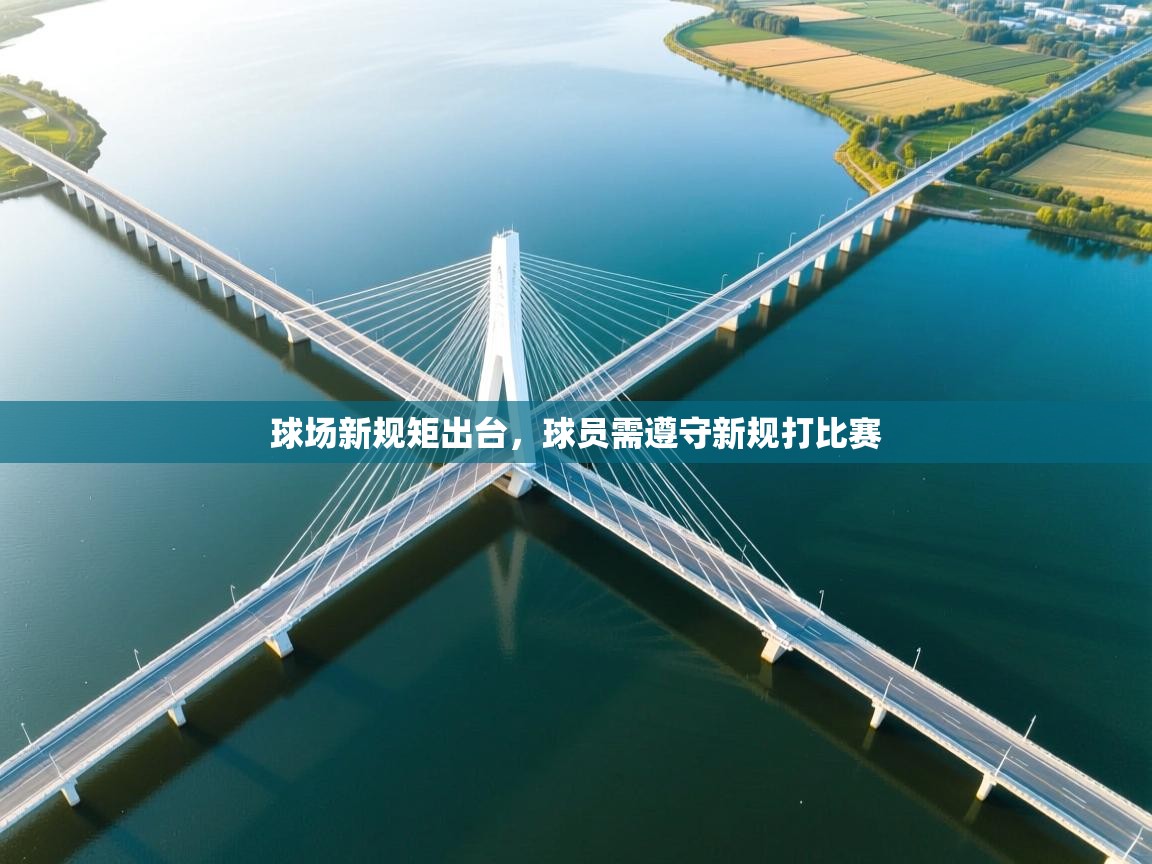 球场新规矩出台,球员需遵守新规打比赛 球场新规矩出台,球员需遵守新规打比赛