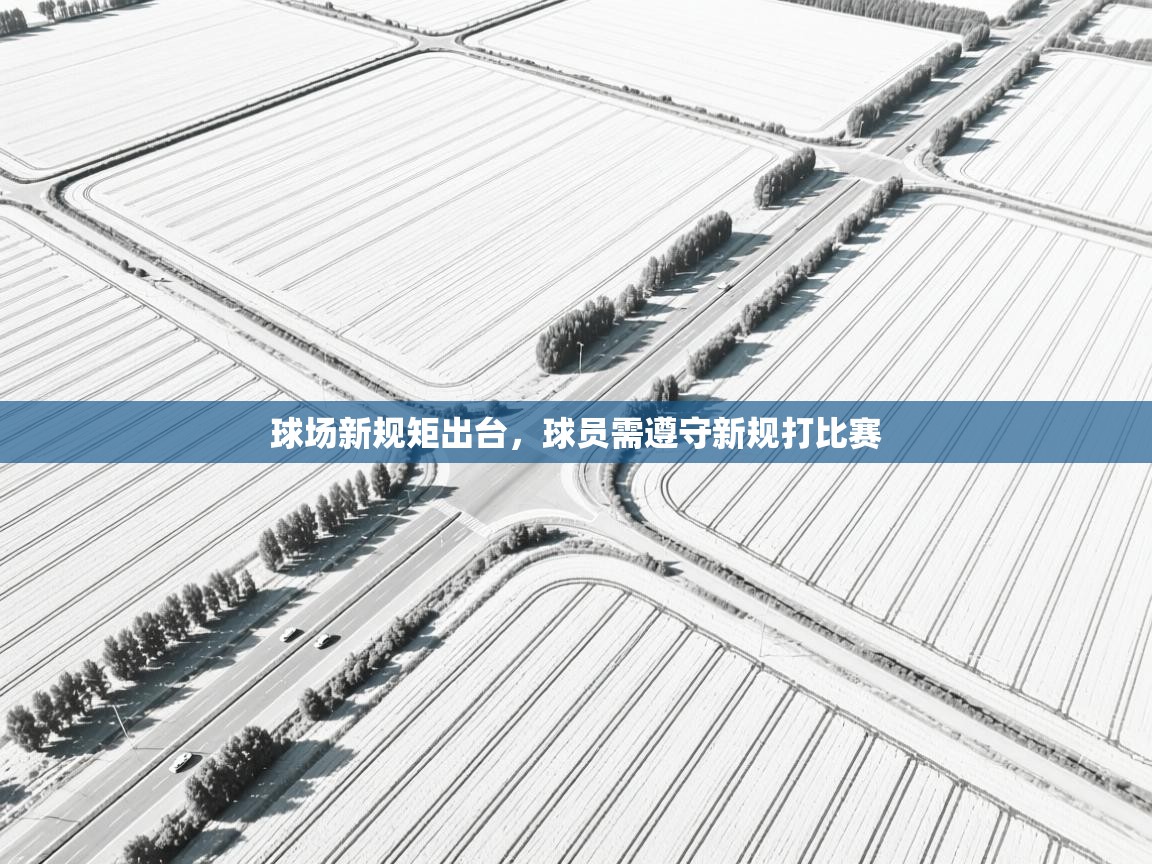 球场新规矩出台,球员需遵守新规打比赛 第2张