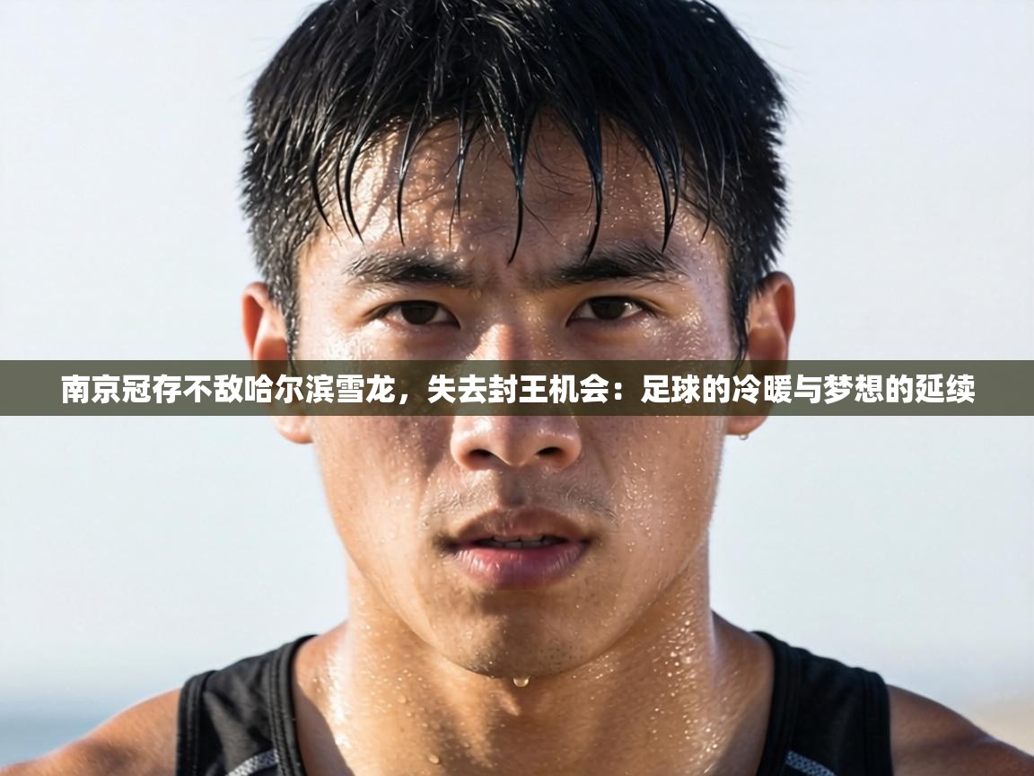 南京冠存不敌哈尔滨雪龙,失去封王机会:足球的冷暖与梦想的延续 第1张