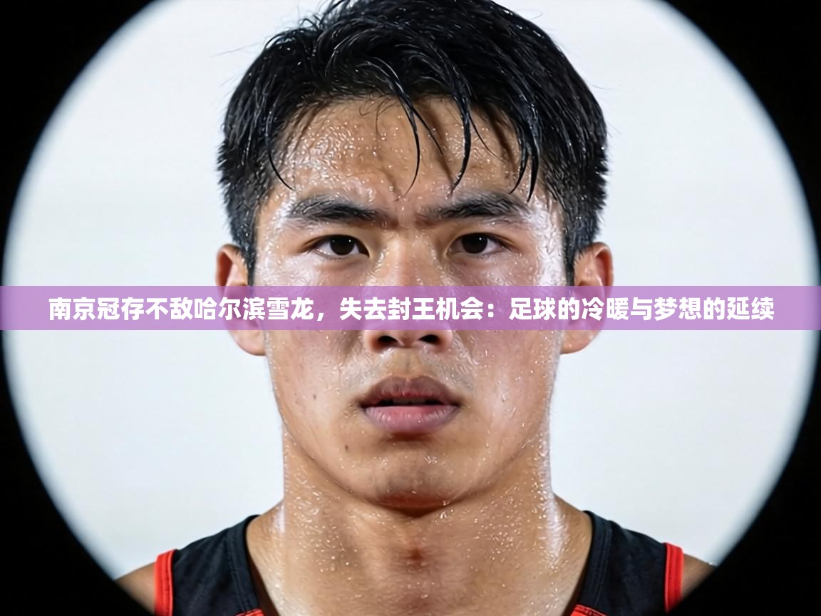 南京冠存不敌哈尔滨雪龙,失去封王机会:足球的冷暖与梦想的延续 第2张