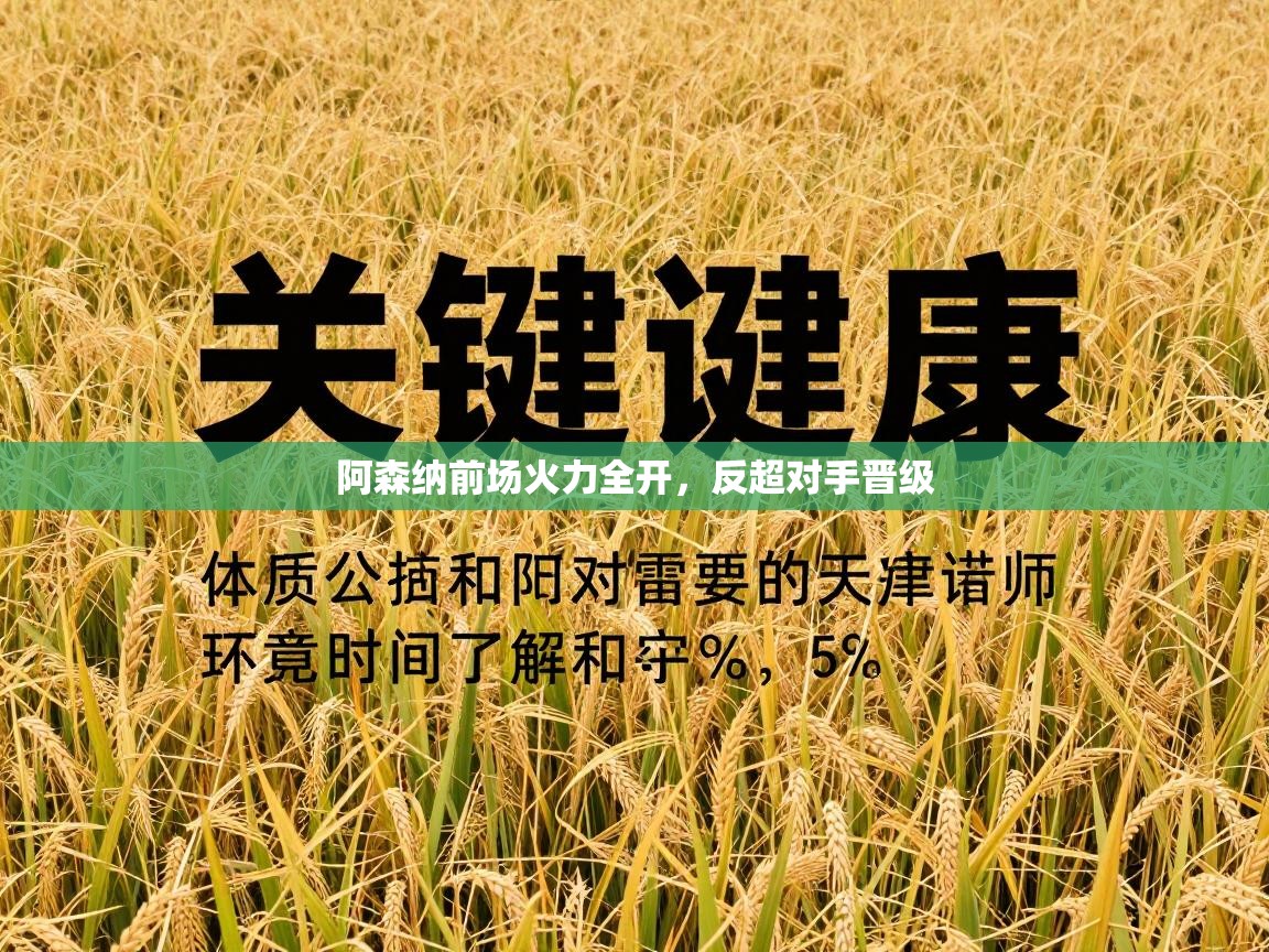 阿森纳前场火力全开,反超对手晋级 第1张